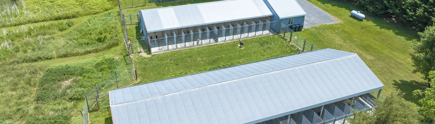 The Sunny Ridge Kennels