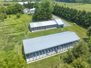 The Sunny Ridge Kennels
